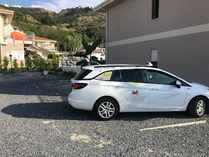 Taxi Vibo Valentia Galati Michele