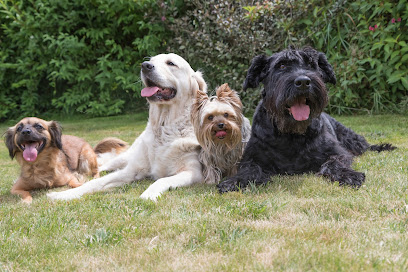 Kimberly's Pet Services