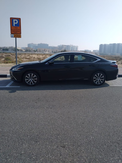 Penguin Luxury Passenger Transport LLC