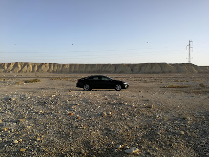 Avis Car Rental