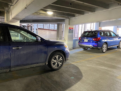 Avis Car Rental