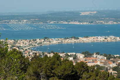 Allo Taxis Sètois Taxi VSL Sète Taxi Conventionné CPAM 34 Transport Médical