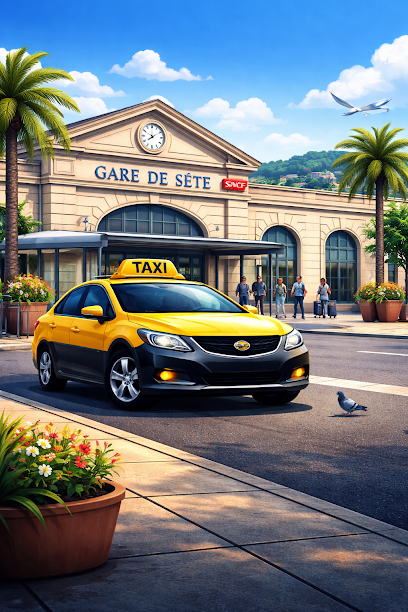 Accueil taxi sete