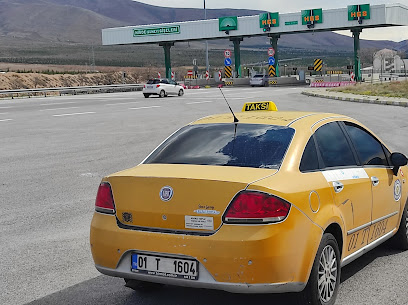 Arı Taksi