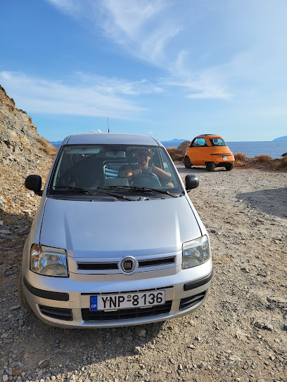 Bluebird car rental