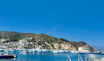 Journey Catalina aka Catalina Transportation Services
