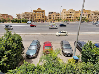 3t drive EGYPT