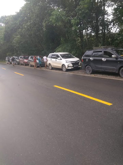 Taxi dan travel Ketapang kal bar