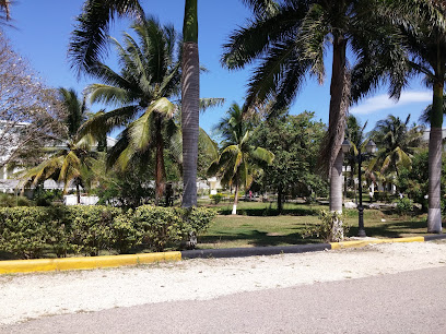 Jamisland Tour
