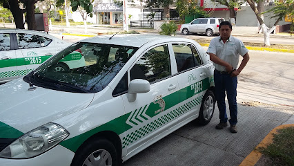 Servicio Taxi Plus