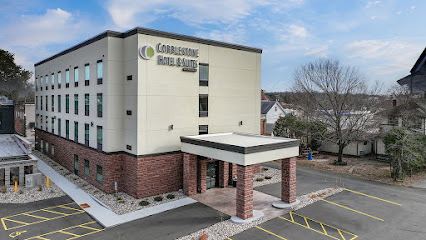 Cobblestone Hotel & Suites - Central Wisconsin Airport
