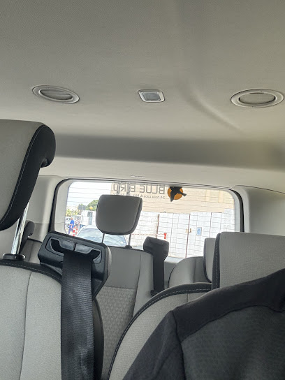Bluebird Cabs