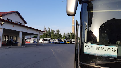 Bus Drobeta Turnu Severin