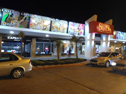 Bus Terminal Monte Caseros