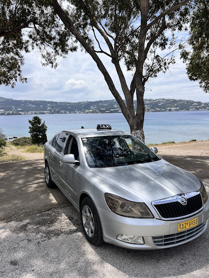 Taxi Leros Karantanis No13