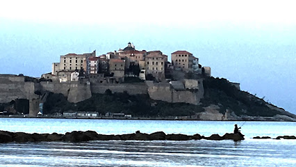 Taxi Marco Calvi