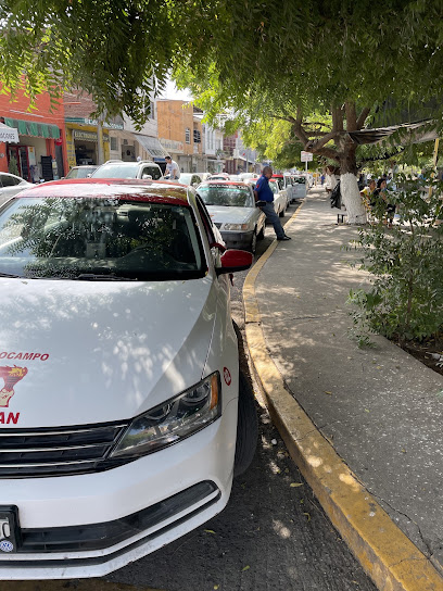 Sitio de taxis Melchor Ocampo