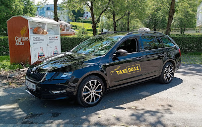 Ja mein Taxi9011