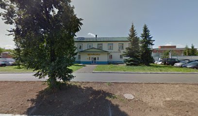 DiDi таксипарк