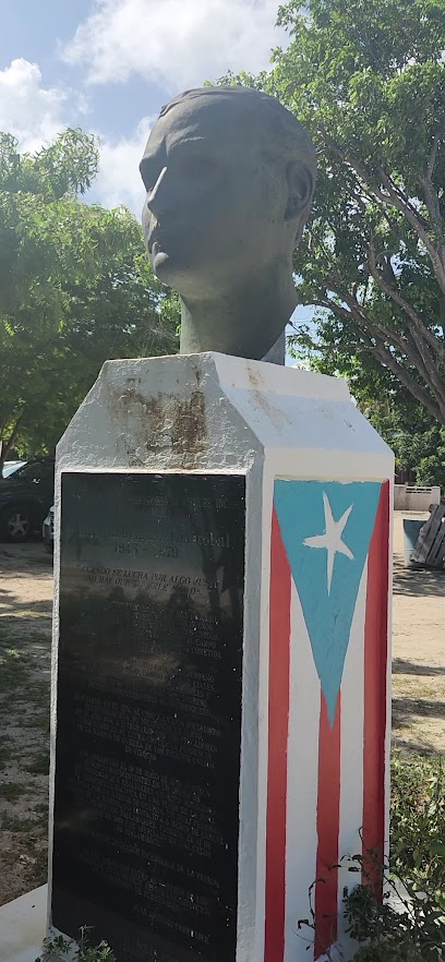 Mode's transportation services