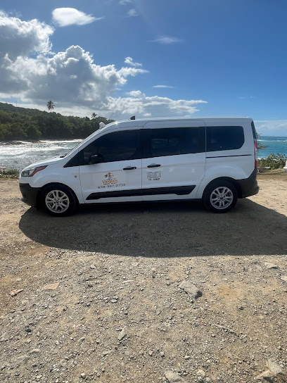 Vieques Island Taxi