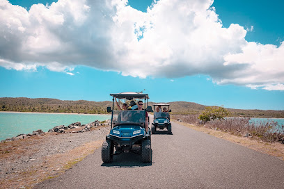 Vieques UTV Rental