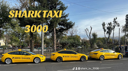 Shark Taxi