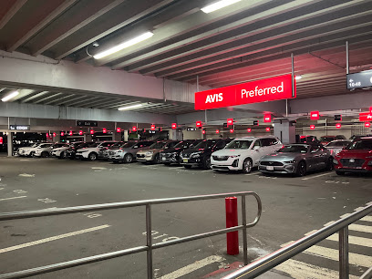 Avis Car Rental