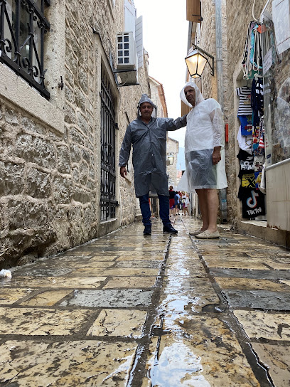 Kotor Transfers and Excursions