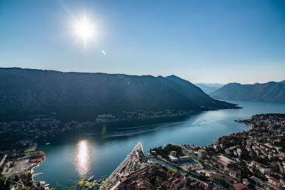 Limitless Speed Boat Kotor