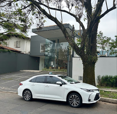 ALISON TAXISTA - AFBA TRANSPORTES - ME