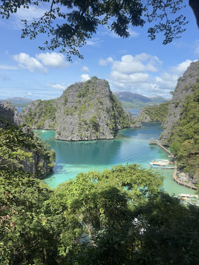 Darlyn Tours