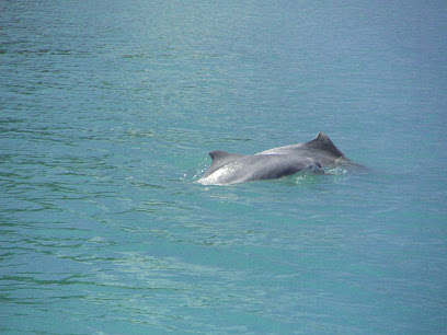 Khanom Tour Thailand
