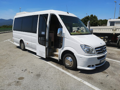 Mini Bus transferi