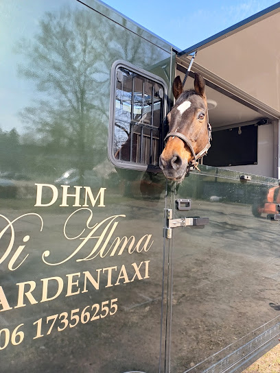 Paardentaxi di Alma| Horse Transport BV