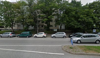 Das Pferdetaxi