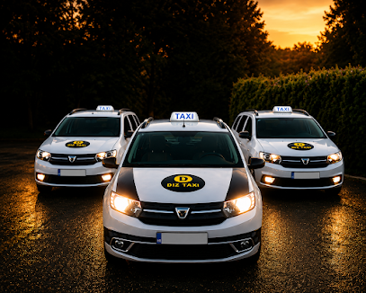 Taxi Diz