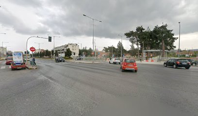 Pet εν Taxi by Baloo