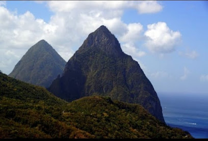 Richie Island Tours