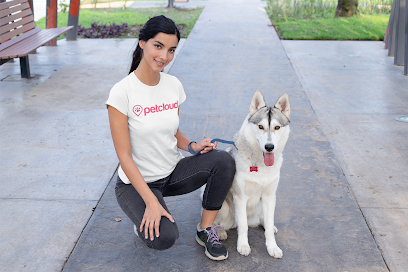 Pet Sitters Bundaberg | Overnight pet boarding and Doggy Day Care | PetCloud