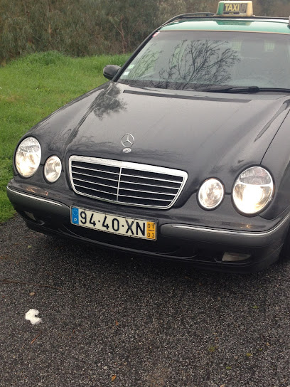Taxi Ervedal