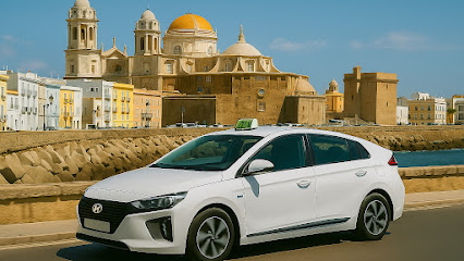 TaxiCádiz.com & Domingo Mendiguren