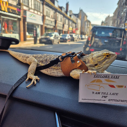 Taylors Taxi
