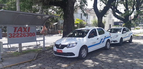 Taxi Cidade Pelotas