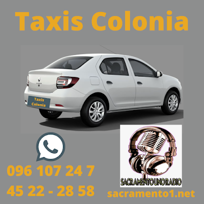 Taxis Colonia