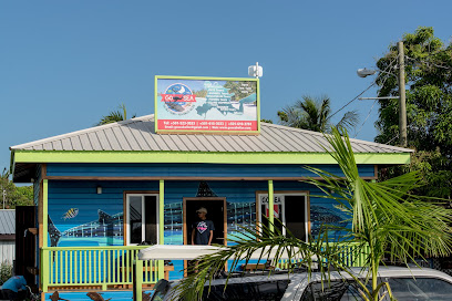 Go Sea Tours