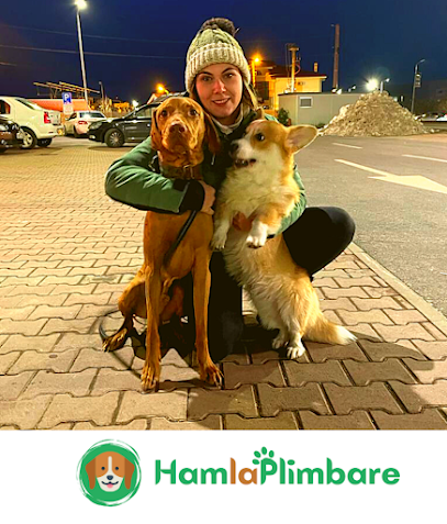 Ham la Plimbare