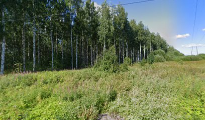 T:mi Pauli Kiiskinen