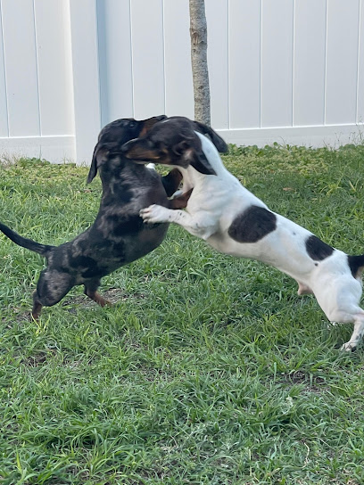 Professional Pet Care Consulting LLC