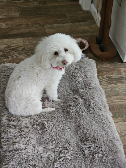 Professional Pet Care Consulting LLC